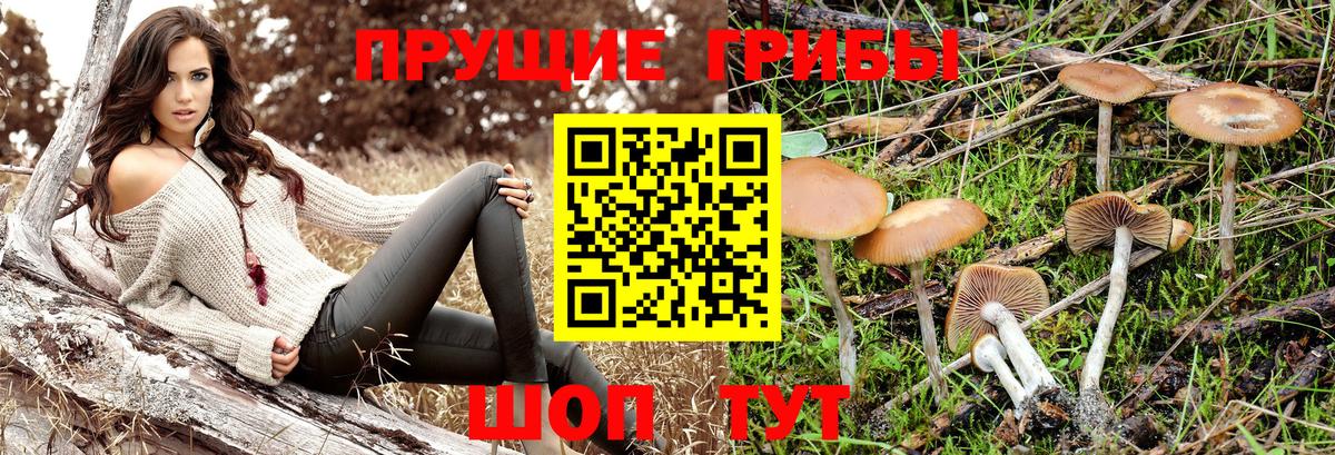 Курган  купить закладку  Вход с VPN  Галлюциногенные грибы MAGIC MUSHROOMS 